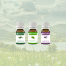 Rosmarinöl 100% Essentialoil 10ml